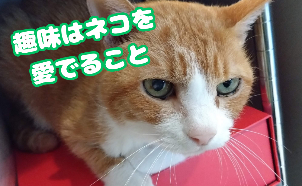 愛猫「ナイン」の画像。「趣味はネコを愛でること」というテキストが入っています。